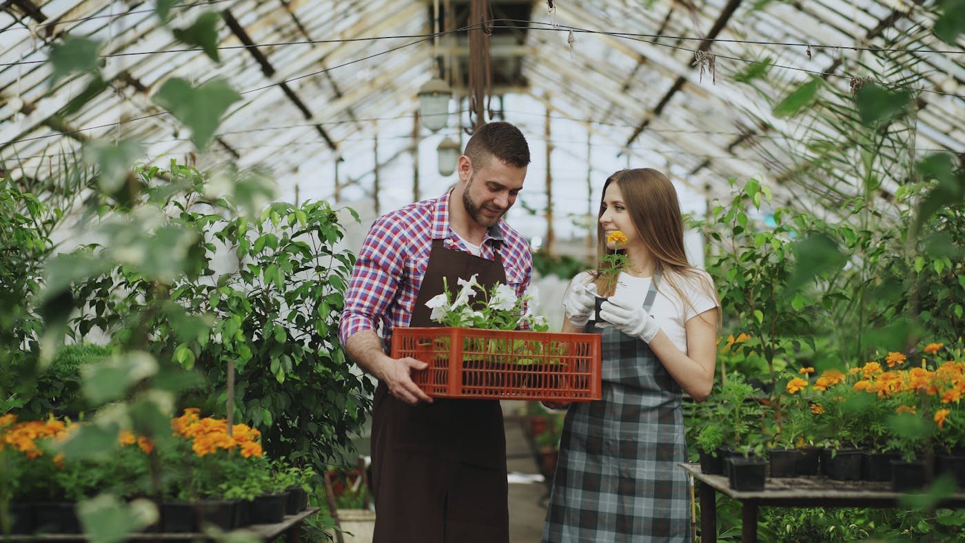 China Flower and Green Plant Supply for Russia Buyers